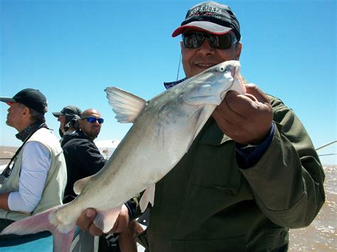 Guia De Pesca En Berisso Altapesca Llegaron Las Reinas Y Lindos