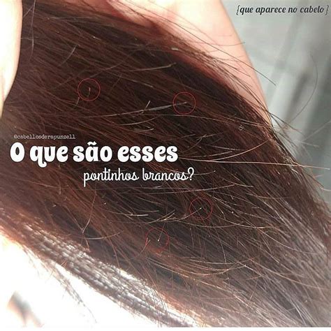 Pin Em Cabelo Cuidados Penteados