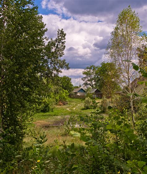 картинки пейзаж дерево природа лес трава пустыня гора облако