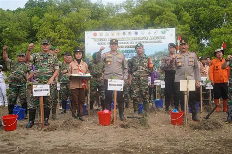 Jaga Ekosistem Pantai Kodam Iii Siliwangi Tanam Ribuan Mangrove