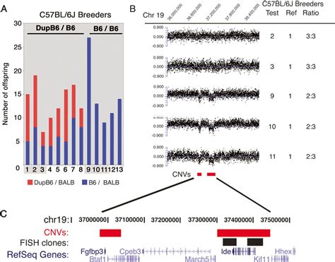 Genomic Copy Number And Expression Variation Within The C57bl6j Inbred Mouse Strain