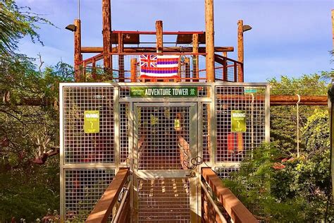 Zipline And Adventure Tower Package