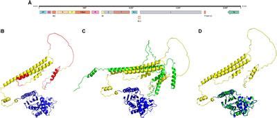 Frontiers Exploring The Secrets Of Virus Entry The First Respiratory