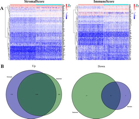 The Differential Expression Of Genes In Infiltrating Stromal And Immune