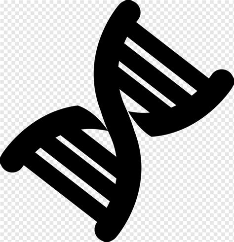 DNA Heliks Ganda Asam Nukleat Sudut Tangan Logo Png PNGWing