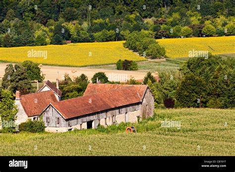 Champs paysage dordogne Banque de photographies et dimages à haute