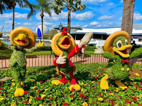 Topiaries Of Donald Duck And Friends Arrive For Epcot International