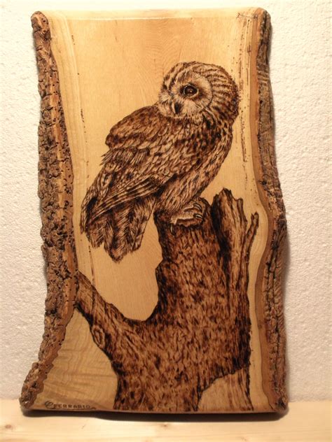 Tawny Owl Pyrography Art Wood Burning Art Wood Burn Designs