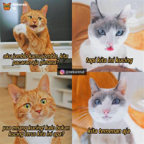 Meme Obrolan Kucing Gombal Ini Endingnya Gagal Romantis