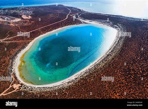 Aerial View Of Little Lagoon With Township Of Denham Shark Bay