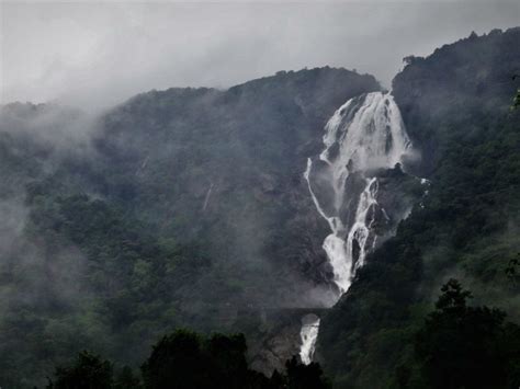 Dudhsagar Waterfall trek – One day adventurous trek near Goa