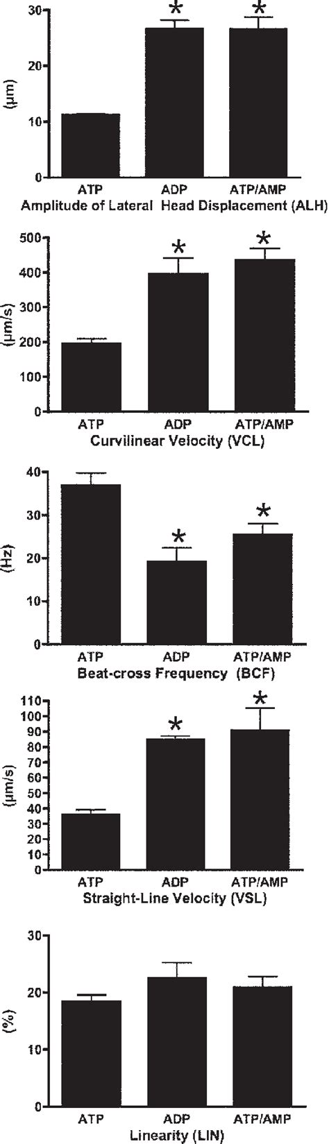 Casa Analysis Of Sperm Motility Parameters Among Sperm Reactivated With