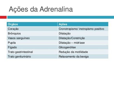 Efeito Da Adrenalina No Corpo - Efeitos Da Adrenalina Em Nosso Organismo – OUCEBE