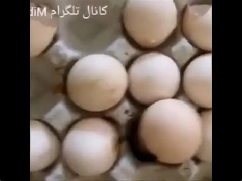 Olha O Pintinho XVIDEOS