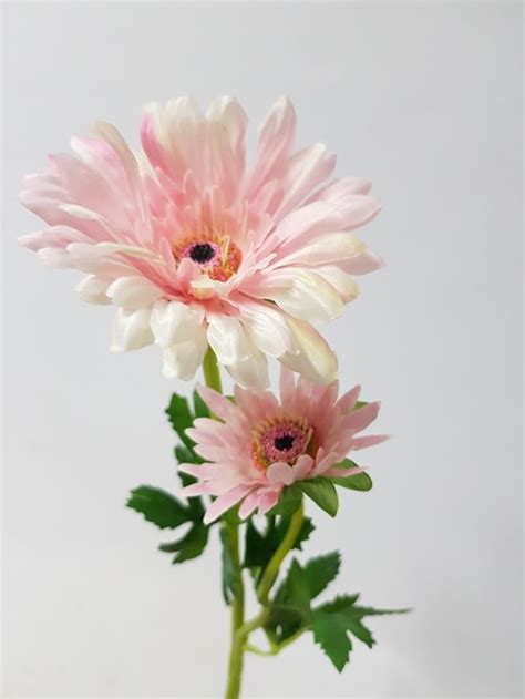 Artificial Gerbera Spray Pale Pink Cm Desflora