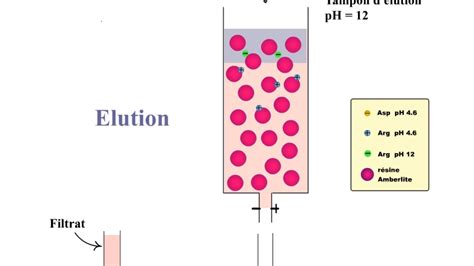 Chromatographie Changeuse D Ions Youtube