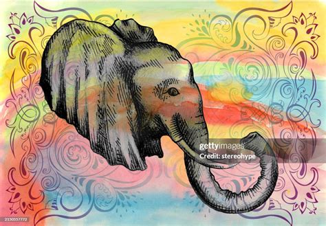 Elephant Horizon High Res Vector Graphic Getty Images