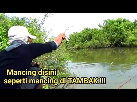 Ikan Disini Melimpah Pemancing Harus Bawah Umpan Banyak Kalau Mancing