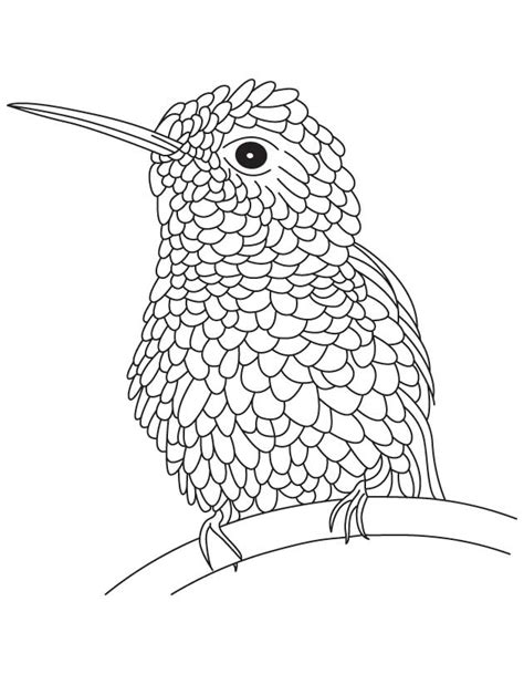 Hummingbird Coloring Page Coloring Home