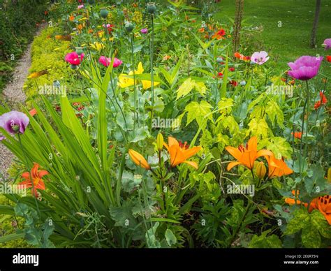 Les Jardins de Monet à Giverny jardin de Monet Maison et jardins de