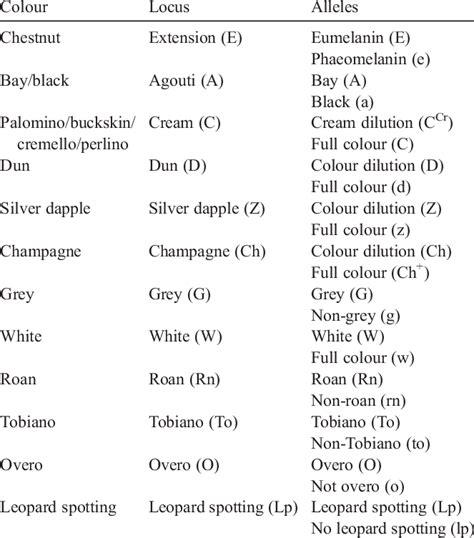 Coat colour genes and symbols for different horse colours | Download ...