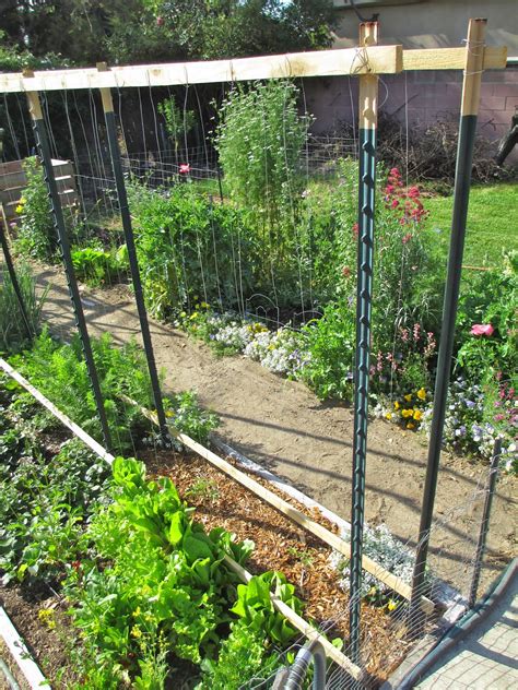 Andies Way Diy Tomato Trellis