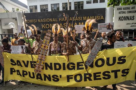 Pejuang Lingkungan Hidup Dari Suku Awyu Ajukan Permohonan Intervensi Ke