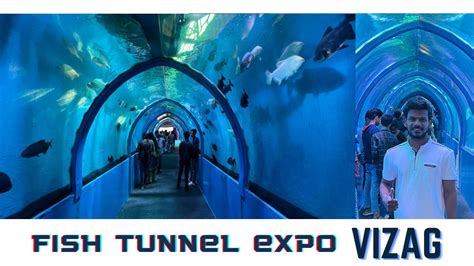 Fish Tunnel Exhibition In Vizag Underwater Tunnel Underwater Aqua