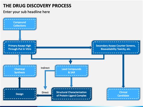 The Drug Discovery Process Powerpoint Template Ppt Slides