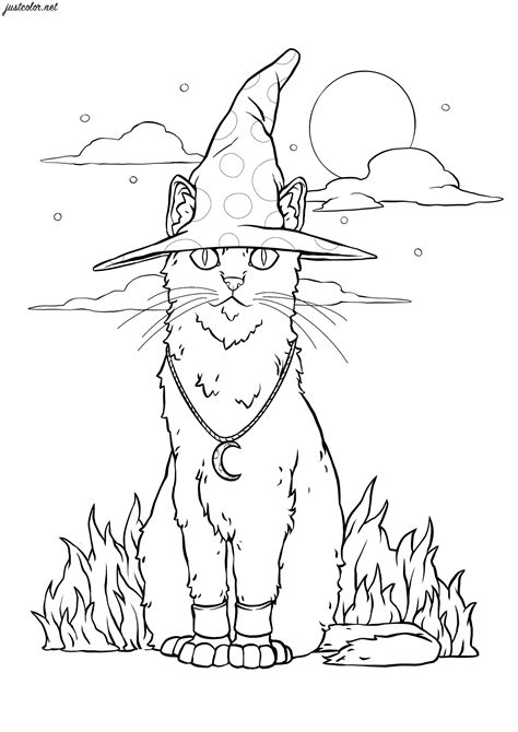 The Magical Cat Halloween Adult Coloring Pages Page Coloring Paris