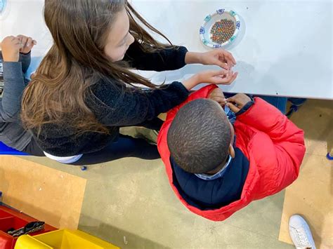 Shade Tree Volunteering 3 | Soaring Samaritans Youth Movement