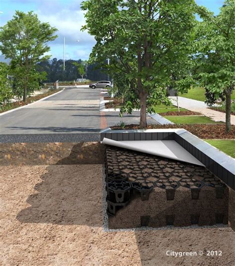 The Best Suspended Pavement System For Urban Tree Development Citygreen