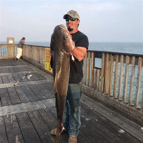 Pensacola Fishing Report March 15 2019 Fishing Pensacola Pensacola