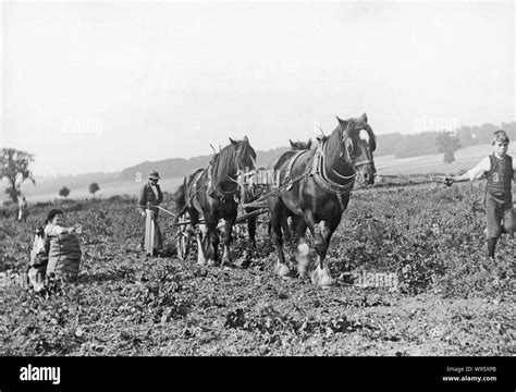 Farmer 1920s Hi Res Stock Photography And Images Alamy