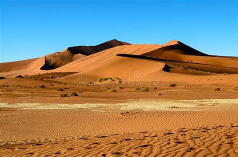 Desert Landscape of the Namib Stock Image - Image of stunning, natural ...