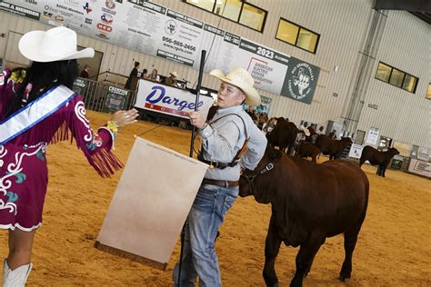 Livestock Show Kicks Off With Heifers Archery Contest Good Food