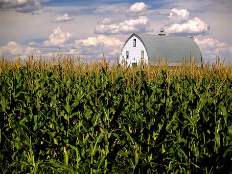 Free Images Nature Growth Sky Field Farm Countryside Sunlight