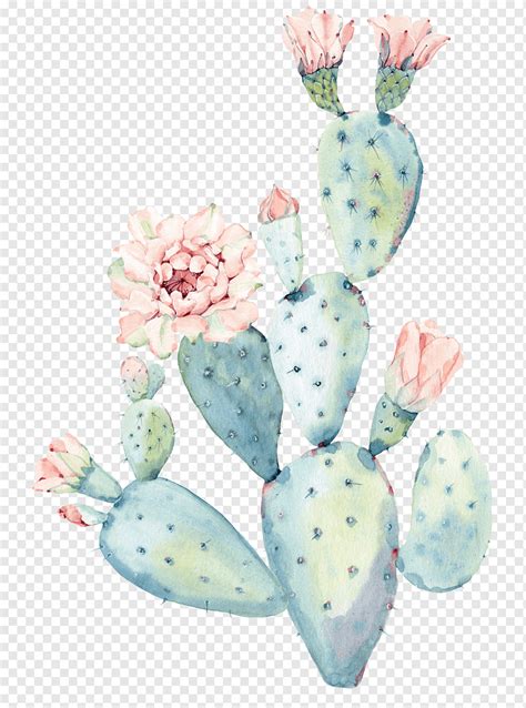 Cactaceae Watercolor Painting Saguaro Hand Painted Watercolor Cactus