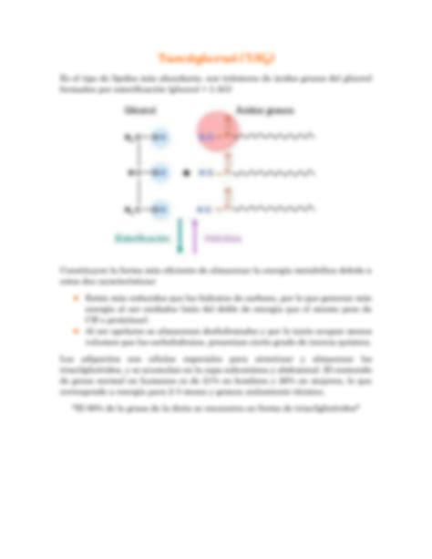 SOLUTION Bioqu Mica Metabolismo De L Pidos Y Prote Nas Studypool