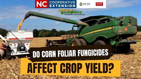 Effect Of Corn Foliar Fungicides On Yield Youtube