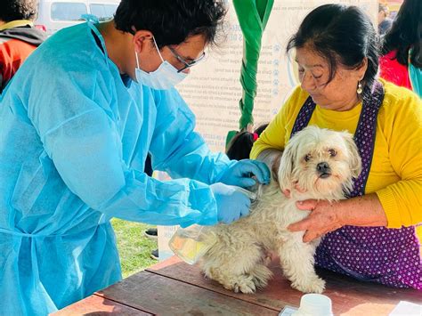 Mph Desarroll Con Xito Otra Campa A De Desparasitaci N Y Cuidado