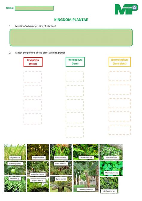 The Plant Kingdom Esl Worksheet By Nani26 Worksheets Library