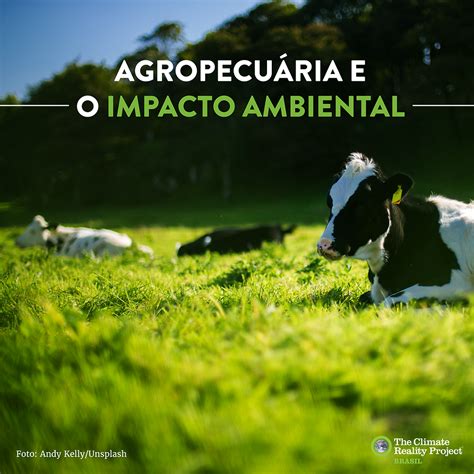 A Agropecuária E O Impacto Ambiental