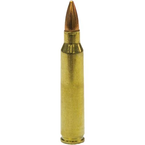 Ammomart 223 Remington Winchester 55gr Fmj 100 Rounds