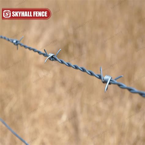 Reverse Twist Metal Barbed Wire For National Border Use Wire And