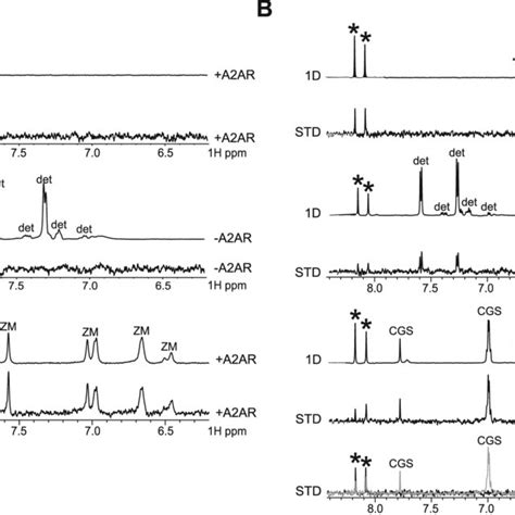 Std Nmr Binding Of A2ar To Antagonists And Agonists 1d And Std Nmr Download Scientific Diagram