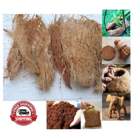 Coconut Husk Fiber Natural Growing Anthurium Organic Orchids Coir Media