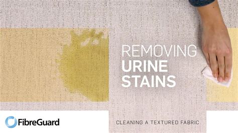 How To Remove Pee Stains From Pants At Gina Burnette Blog