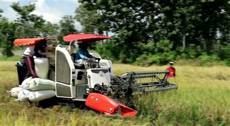 Mengenal 3 Teknologi Mesin Pertanian yang Bisa Permudah Kerja Petani ...