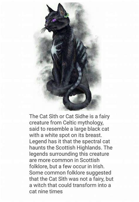 The Cat Sith | Mythology & Cultures Amino